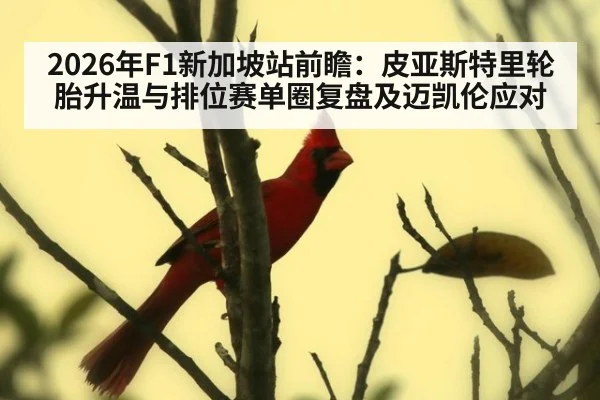 2026年F1新加坡站前瞻：皮亚斯特里轮胎升温与排位赛单圈复盘及迈凯伦应对
